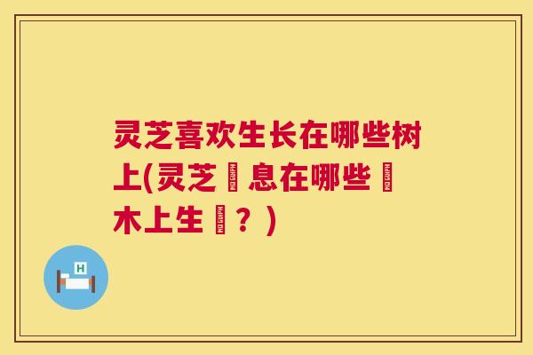 灵芝喜欢生长在哪些树上(灵芝棲息在哪些樹木上生長？)