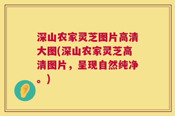 深山农家灵芝图片高清大图(深山农家灵芝高清图片,呈现自然纯净。) 深山农家灵芝图片高清大图(深山农家灵芝高清图片,呈现自然纯净。)