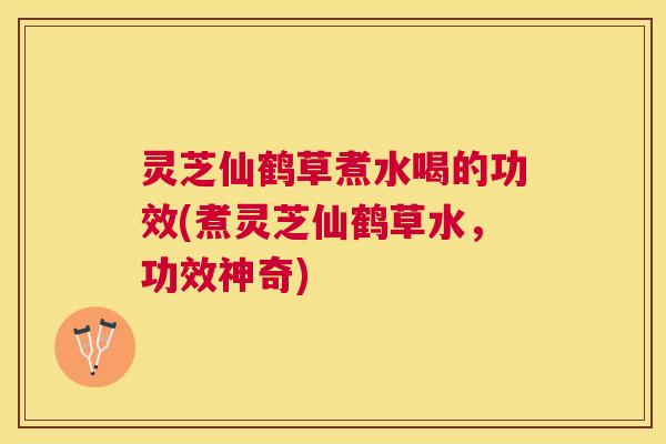 灵芝仙鹤草煮水喝的功效(煮灵芝仙鹤草水，功效神奇)