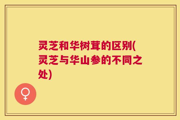 灵芝和华树茸的区别(灵芝与华山参的不同之处) 灵芝和华树茸的区别(灵芝与华山参的不同之处)