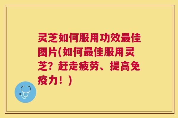 灵芝如何服用功效佳图片(如何佳服用灵芝?赶走疲劳、提高免疫力!) 灵芝如何服用功效佳图片(如何佳服用灵芝?赶走疲劳、提高免疫力!)