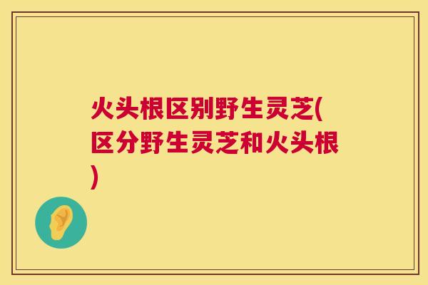 火头根区别野生灵芝(区分野生灵芝和火头根)