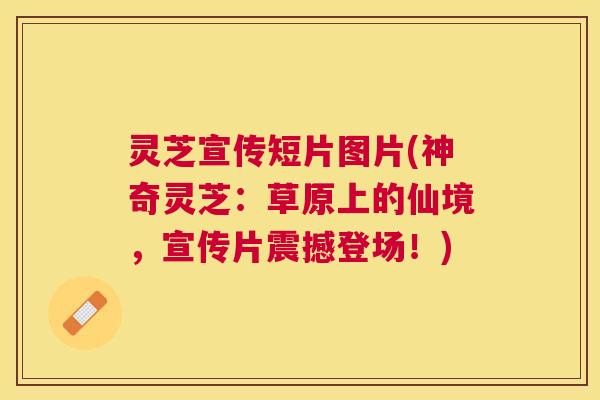 灵芝宣传短片图片(神奇灵芝：草原上的仙境，宣传片震撼登场！)