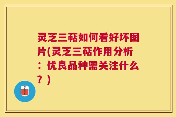 灵芝三萜如何看好坏图片(灵芝三萜作用分析:优良品种需关注什么?) 灵芝三萜如何看好坏图片(灵芝三萜作用分析:优良品种需关注什么?)