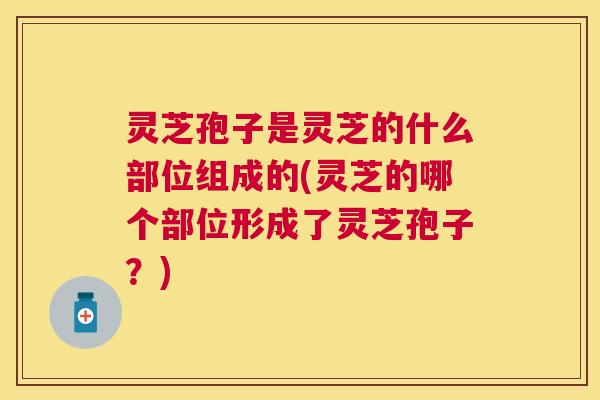 灵芝孢子是灵芝的什么部位组成的(灵芝的哪个部位形成了灵芝孢子？)