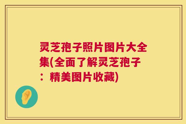 灵芝孢子照片图片大全集(全面了解灵芝孢子：精美图片收藏)