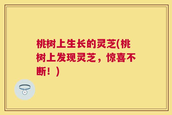 桃树上生长的灵芝(桃树上发现灵芝,惊喜不断!) 桃树上生长的灵芝(桃树上发现灵芝,惊喜不断!)