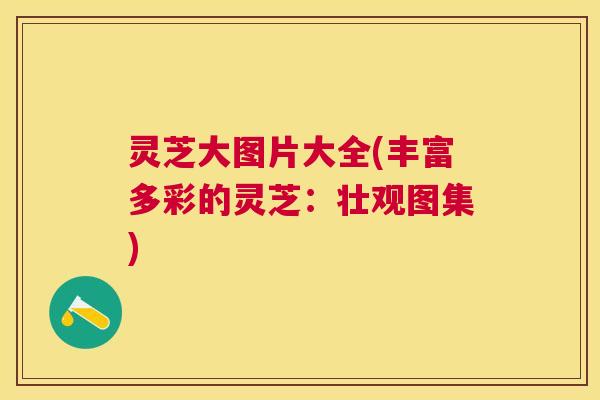 灵芝大图片大全(丰富多彩的灵芝:壮观图集) 灵芝大图片大全(丰富多彩的灵芝:壮观图集)
