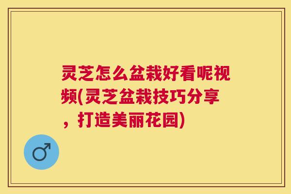 灵芝怎么盆栽好看呢视频(灵芝盆栽技巧分享，打造美丽花园)