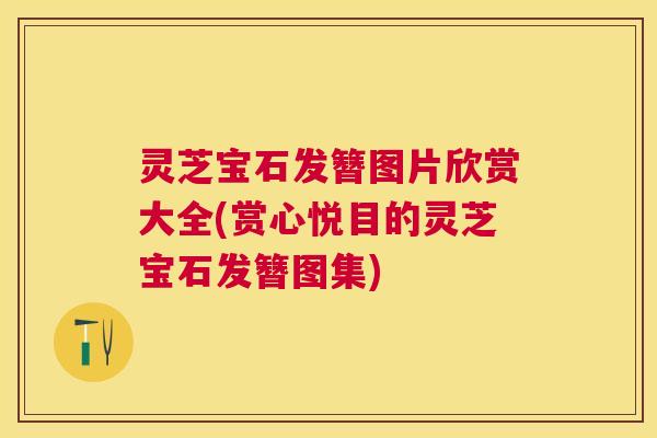 灵芝宝石发簪图片欣赏大全(赏心悦目的灵芝宝石发簪图集)