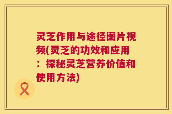 灵芝作用与途径图片视频(灵芝的功效和应用:探秘灵芝营养价值和使用方法) 灵芝作用与途径图片视频(灵芝的功效和应用:探秘灵芝营养价值和使用方法)