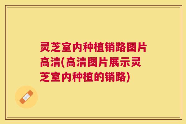 灵芝室内种植销路图片高清(高清图片展示灵芝室内种植的销路) 灵芝室内种植销路图片高清(高清图片展示灵芝室内种植的销路)