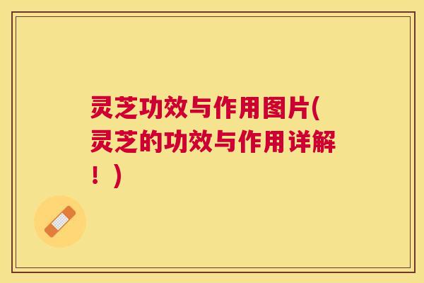 灵芝功效与作用图片(灵芝的功效与作用详解!) 灵芝功效与作用图片(灵芝的功效与作用详解!)