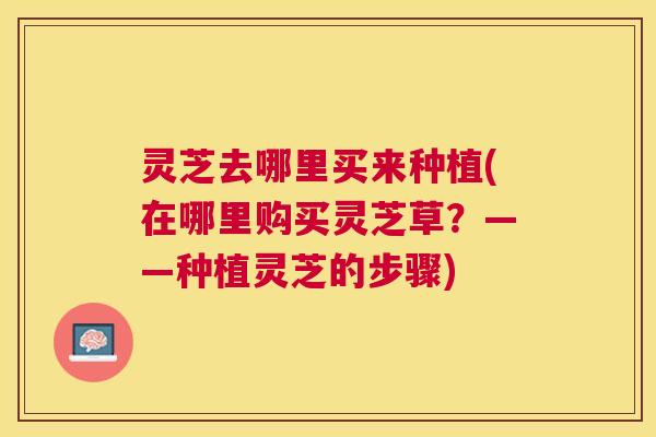灵芝去哪里买来种植(在哪里购买灵芝草？——种植灵芝的步骤)