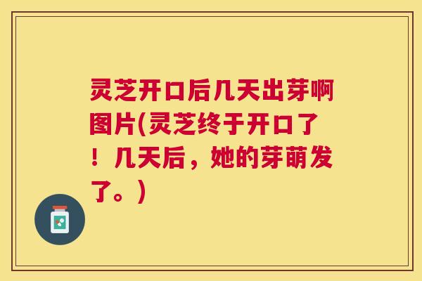 灵芝开口后几天出芽啊图片(灵芝终于开口了！几天后，她的芽萌发了。)