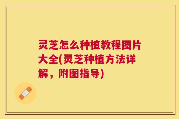 灵芝怎么种植教程图片大全(灵芝种植方法详解,附图指导) 灵芝怎么种植教程图片大全(灵芝种植方法详解,附图指导)
