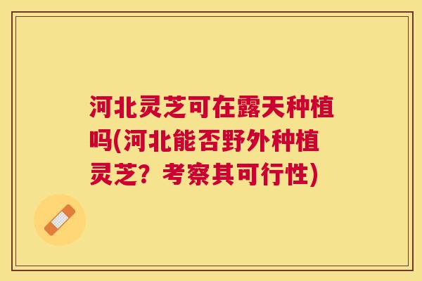 河北灵芝可在露天种植吗(河北能否野外种植灵芝？考察其可行性)