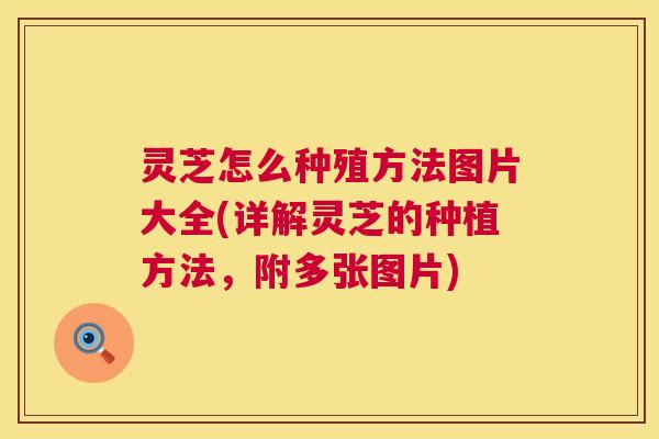 灵芝怎么种殖方法图片大全(详解灵芝的种植方法，附多张图片)