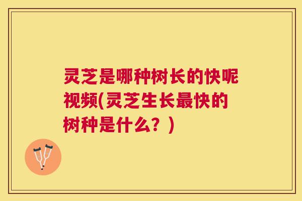 灵芝是哪种树长的快呢视频(灵芝生长快的树种是什么?) 灵芝是哪种树长的快呢视频(灵芝生长快的树种是什么?)