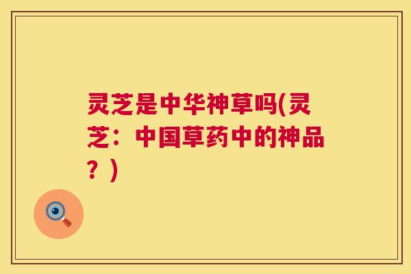 灵芝是中华神草吗(灵芝：中国草药中的神品？)