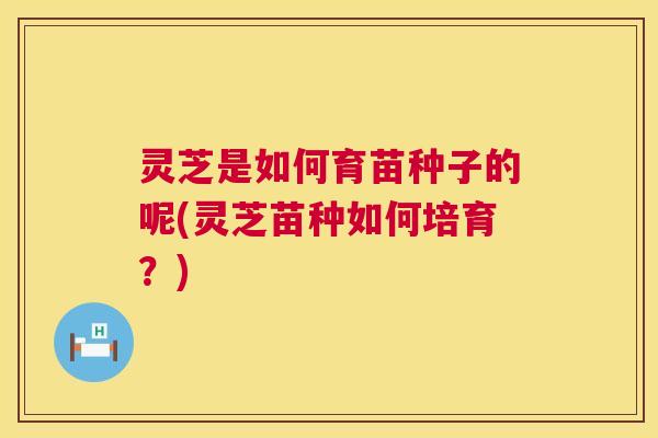 灵芝是如何育苗种子的呢(灵芝苗种如何培育？)