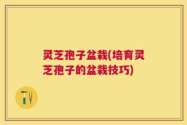 灵芝孢子盆栽(培育灵芝孢子的盆栽技巧)