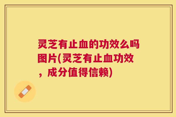 灵芝有止的功效么吗图片(灵芝有止功效,成分值得信赖) 灵芝有止的功效么吗图片(灵芝有止功效,成分值得信赖)