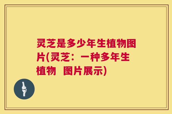 灵芝是多少年生植物图片(灵芝：一种多年生植物  图片展示)
