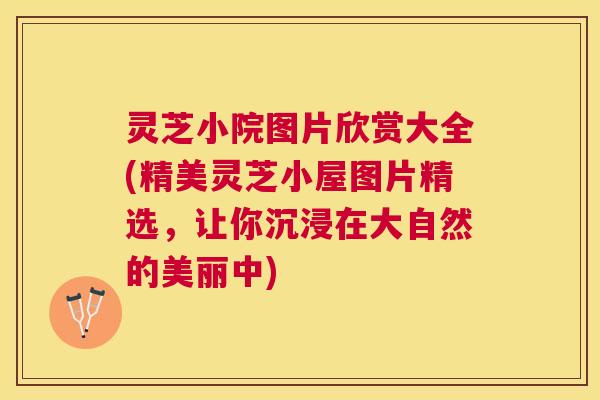 灵芝小院图片欣赏大全(精美灵芝小屋图片精选，让你沉浸在大自然的美丽中)