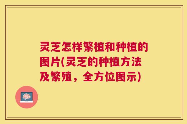 灵芝怎样繁植和种植的图片(灵芝的种植方法及繁殖,全方位图示) 灵芝怎样繁植和种植的图片(灵芝的种植方法及繁殖,全方位图示)