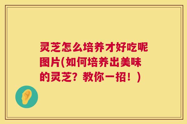 灵芝怎么培养才好吃呢图片(如何培养出美味的灵芝？教你一招！)