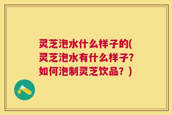 灵芝泡水什么样子的(灵芝泡水有什么样子？如何泡制灵芝饮品？)