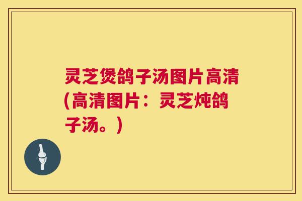 灵芝煲鸽子汤图片高清(高清图片：灵芝炖鸽子汤。)