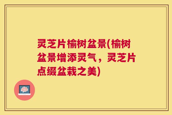 灵芝片榆树盆景(榆树盆景增添灵气，灵芝片点缀盆栽之美)