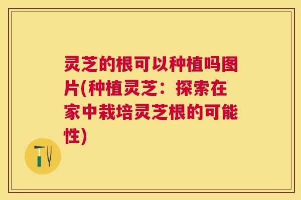 灵芝的根可以种植吗图片(种植灵芝：探索在家中栽培灵芝根的可能性)