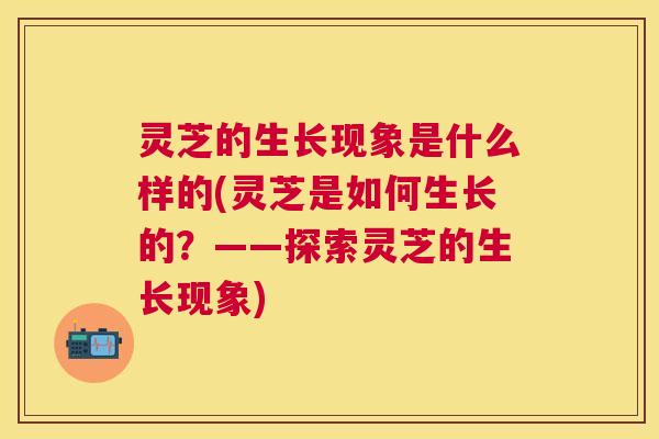 灵芝的生长现象是什么样的(灵芝是如何生长的？——探索灵芝的生长现象)
