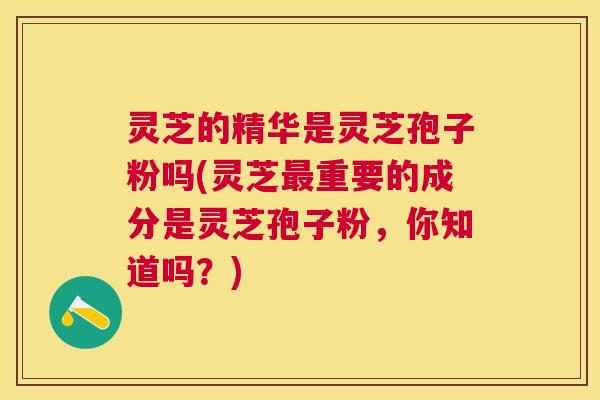 灵芝的精华是灵芝孢子粉吗(灵芝重要的成分是灵芝孢子粉，你知道吗？)