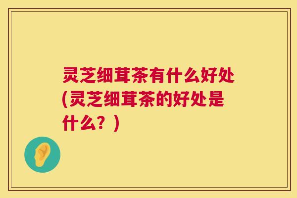 灵芝细茸茶有什么好处(灵芝细茸茶的好处是什么？)