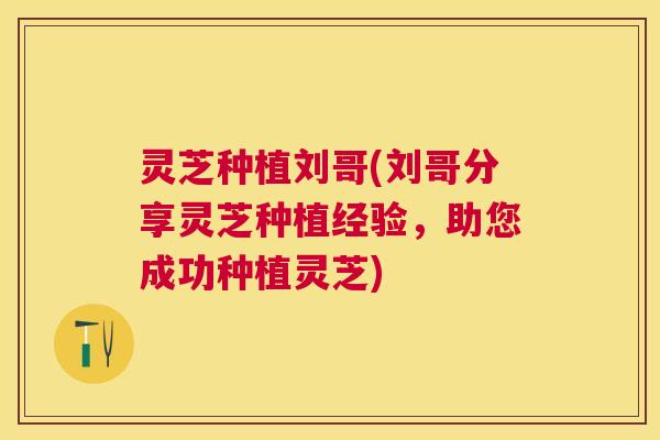 灵芝种植刘哥(刘哥分享灵芝种植经验,助您成功种植灵芝) 灵芝种植刘哥(刘哥分享灵芝种植经验,助您成功种植灵芝)
