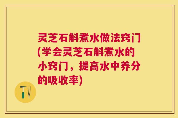 灵芝石斛煮水做法窍门(学会灵芝石斛煮水的小窍门，提高水中养分的吸收率)