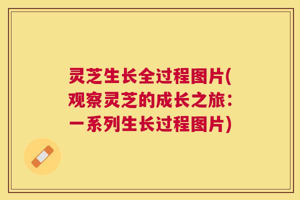 灵芝生长全过程图片(观察灵芝的成长之旅：一系列生长过程图片)