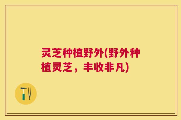 灵芝种植野外(野外种植灵芝，丰收非凡)