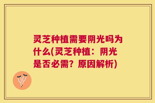 灵芝种植需要阴光吗为什么(灵芝种植:阴光是否必需?原因解析) 灵芝种植需要阴光吗为什么(灵芝种植:阴光是否必需?原因解析)