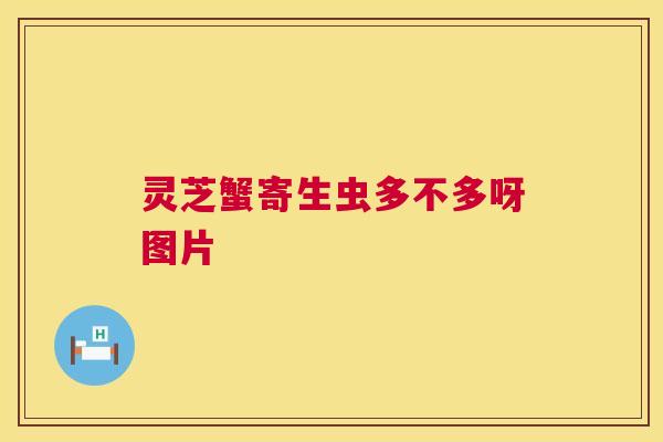 灵芝蟹寄生虫多不多呀图片 灵芝蟹寄生虫多不多呀图片