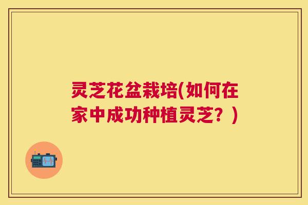 灵芝花盆栽培(如何在家中成功种植灵芝?) 灵芝花盆栽培(如何在家中成功种植灵芝?)