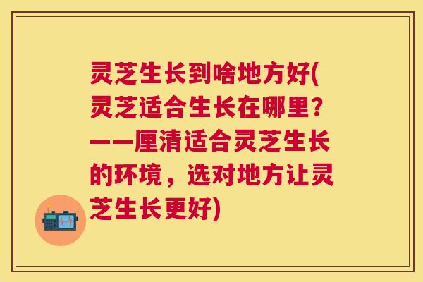 灵芝生长到啥地方好(灵芝适合生长在哪里？——厘清适合灵芝生长的环境，选对地方让灵芝生长更好)