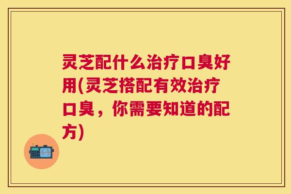 灵芝配什么口臭好用(灵芝搭配有效口臭,你需要知道的配方) 灵芝配什么口臭好用(灵芝搭配有效口臭,你需要知道的配方)