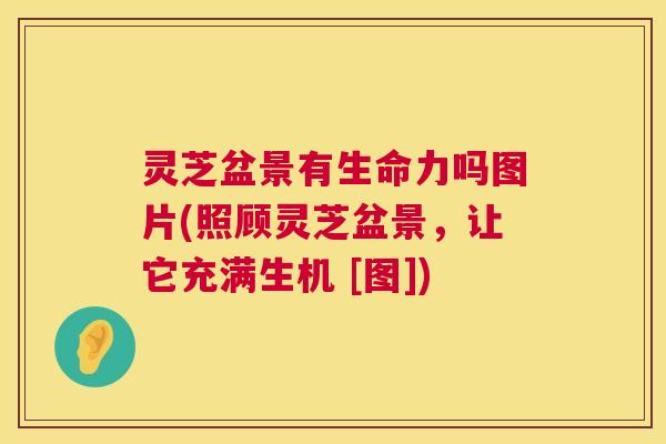 灵芝盆景有生命力吗图片(照顾灵芝盆景，让它充满生机 [图])
