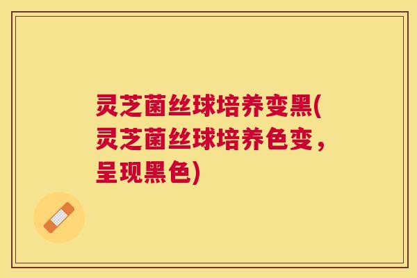 灵芝菌丝球培养变黑(灵芝菌丝球培养色变，呈现黑色)