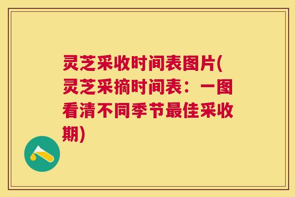 灵芝采收时间表图片(灵芝采摘时间表:一图看清不同季节佳采收期) 灵芝采收时间表图片(灵芝采摘时间表:一图看清不同季节佳采收期)